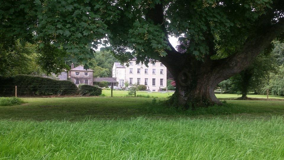 Clonacody House Pension Clonmel Buitenkant foto